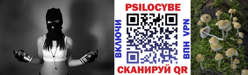 Галлюциногенные грибы мухоморы  купить наркотики сайты  нарко площадка формула  Вологда 